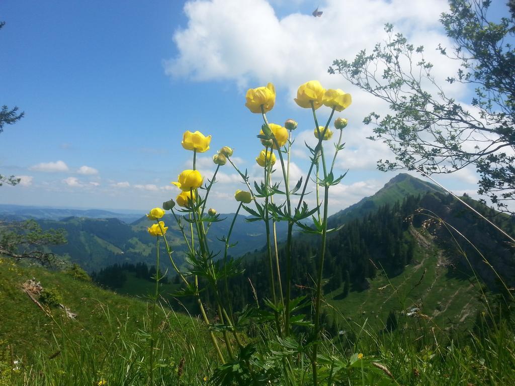 Landhaus Kennerknecht Kur Und Ferien Otel Oberstaufen Dış mekan fotoğraf
